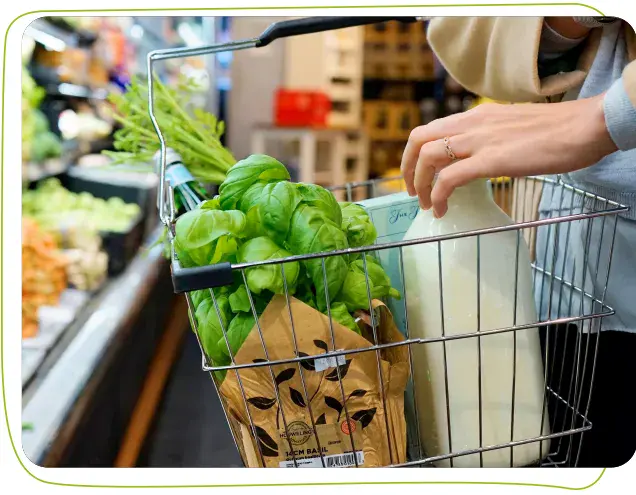 Dorfmilch kaufen im Supermarkt oder Hofladen