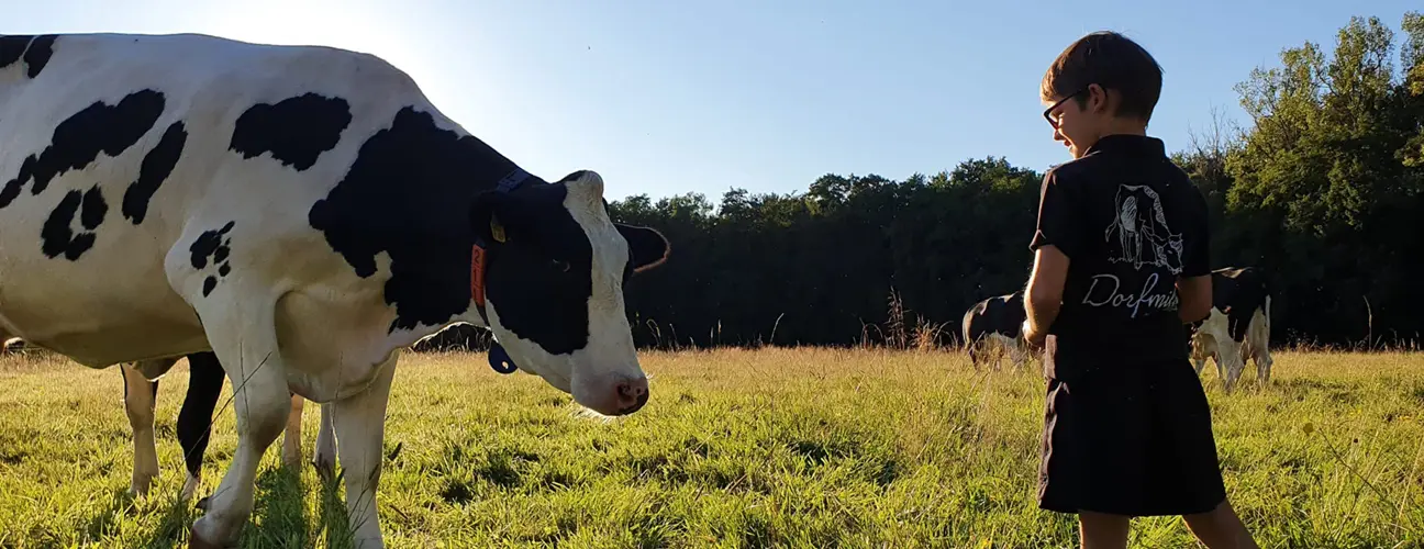 Frische Milch direkt vom Bauern