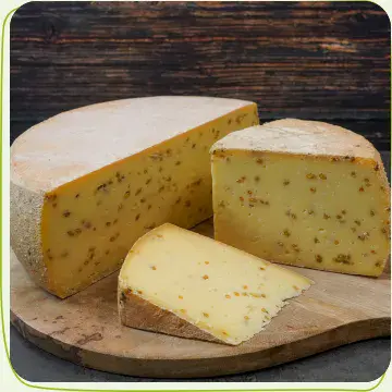 Käse Bockhornklee