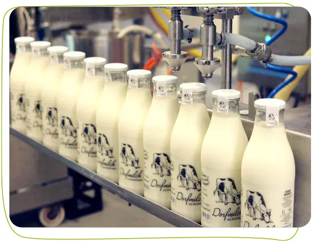 Produktion Molkerei